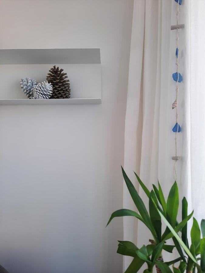 Sitius 5B - New Seaview Apartment With Rooftop Terrace In Historical Centre Sitio Da Nazaré Exteriör bild