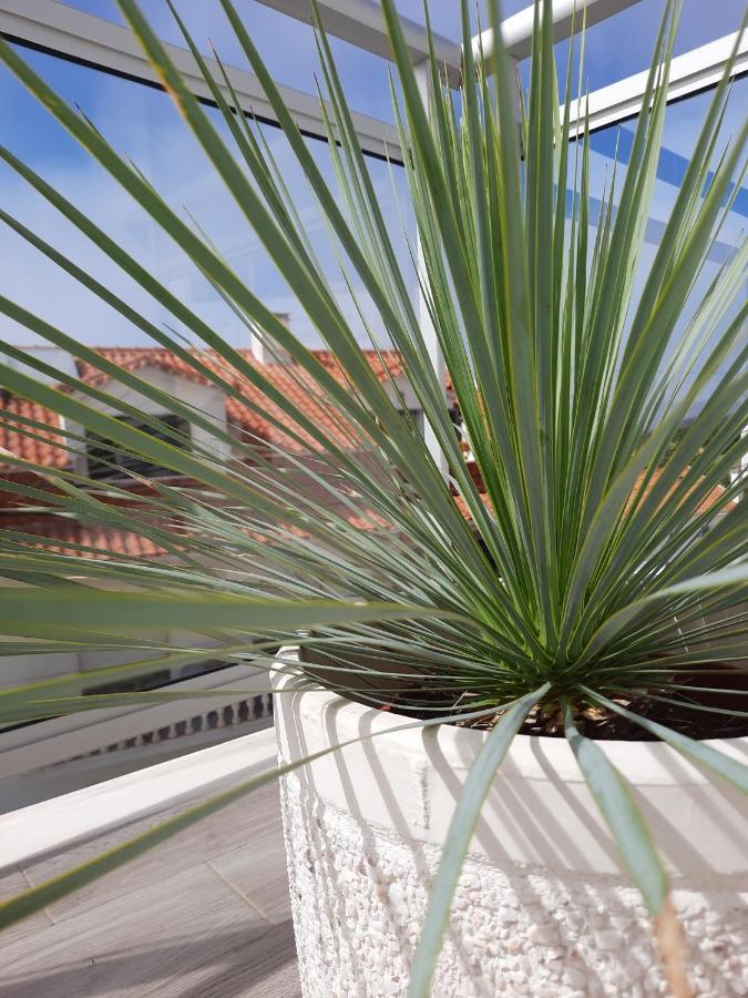 Sitius 5B - New Seaview Apartment With Rooftop Terrace In Historical Centre Sitio Da Nazaré Exteriör bild